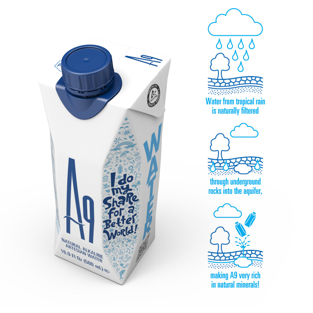 A9 Alkaline Artesian Mineral Water — 16.9 fl oz - 12 Pack Case
